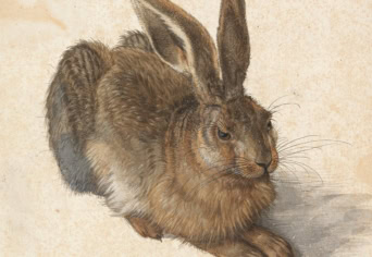 NÉZZÜK EGYÜTT ALBRECHT DÜRER KÉPEIT!