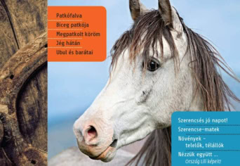 A téli Szitakötő tartalma