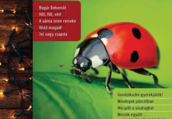 A téli szám tartalma