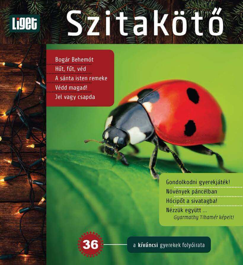 A téli szám tartalma