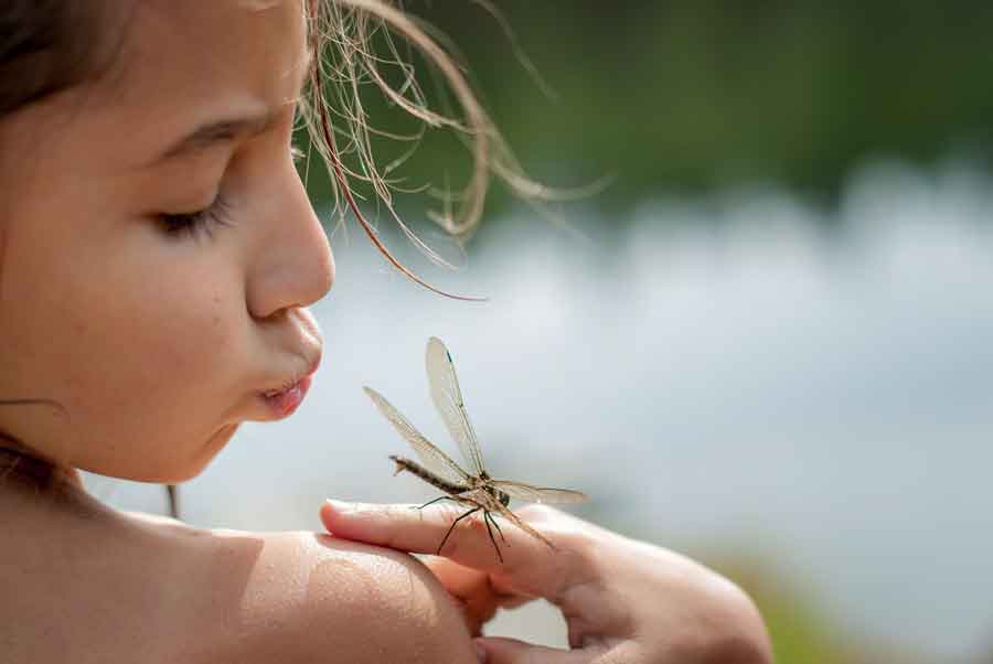 NYERTES INTÉZMÉNYEK