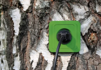 A NÖVÉNYEK ENERGIÁJA