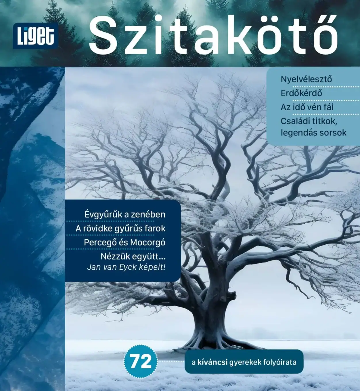 Új oldalon repül a Szitakötő