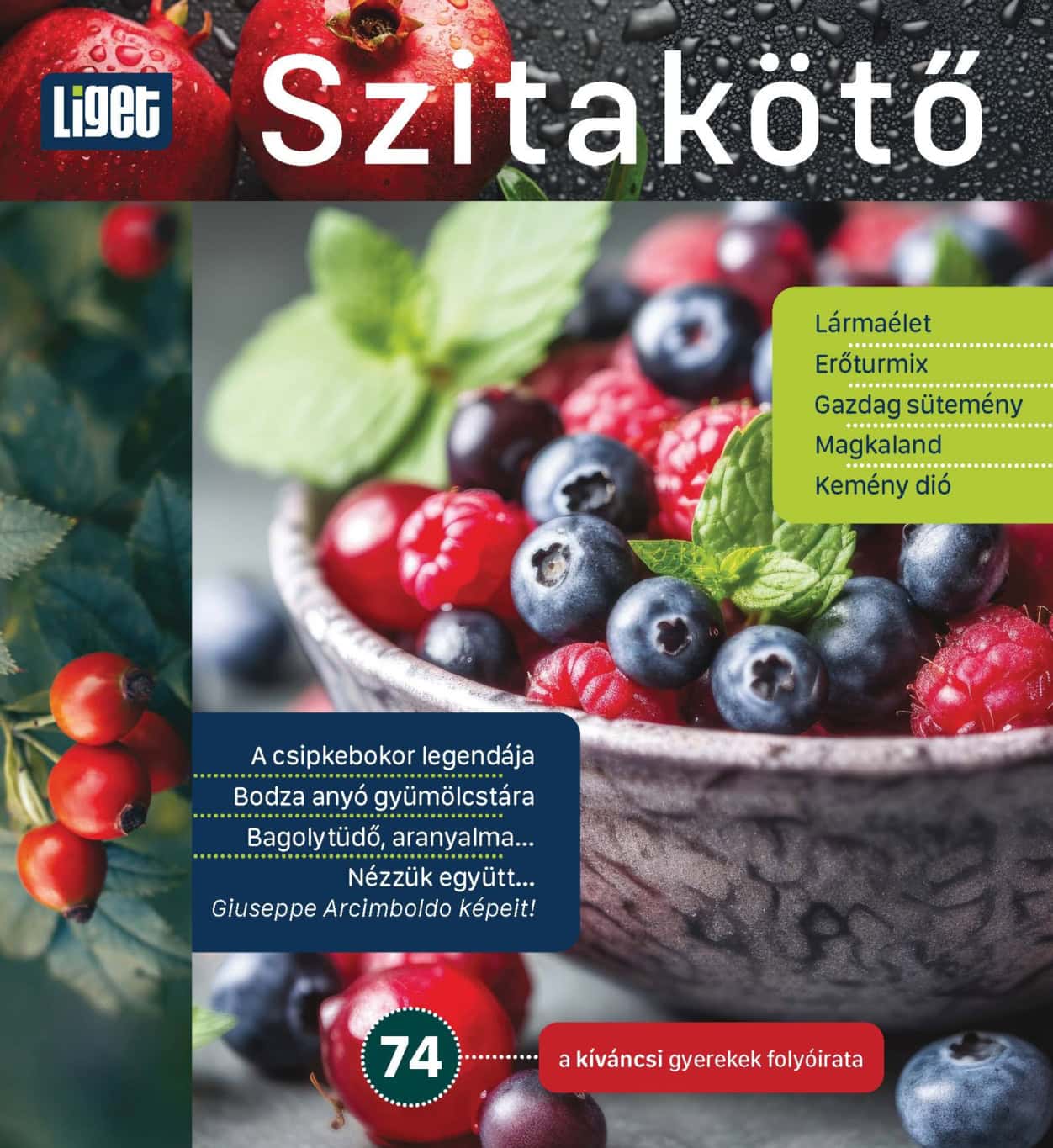 MEGJELENT A NYÁRI SZITAKÖTŐ | 2026-74