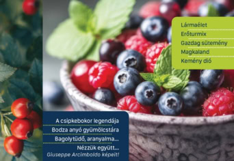 MEGJELENT A NYÁRI SZITAKÖTŐ | 2026-74