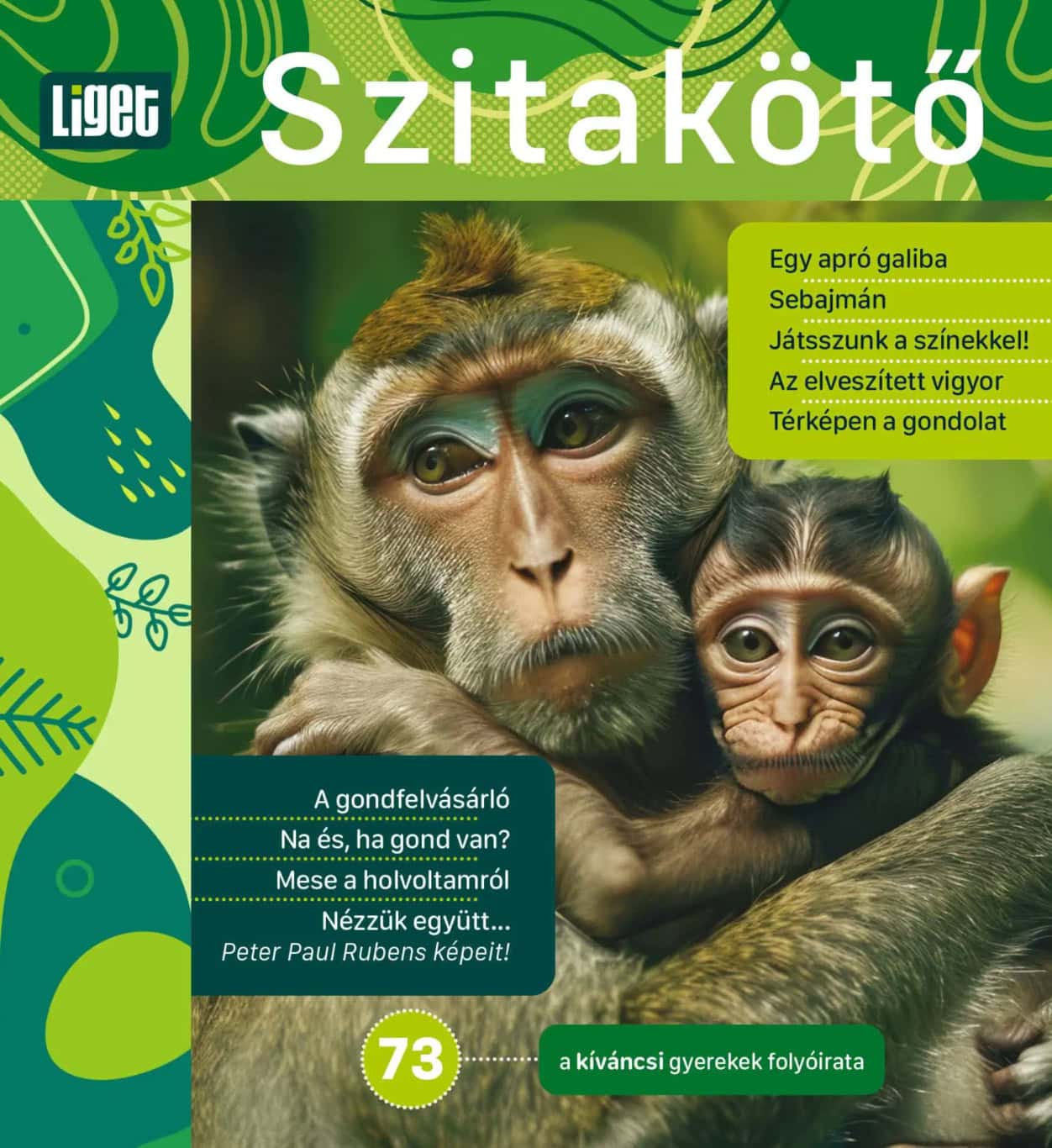 2026-73 Szitakötő