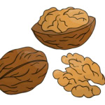 KEMÉNY DIÓ – INTERAKTÍV FELADATSOR
